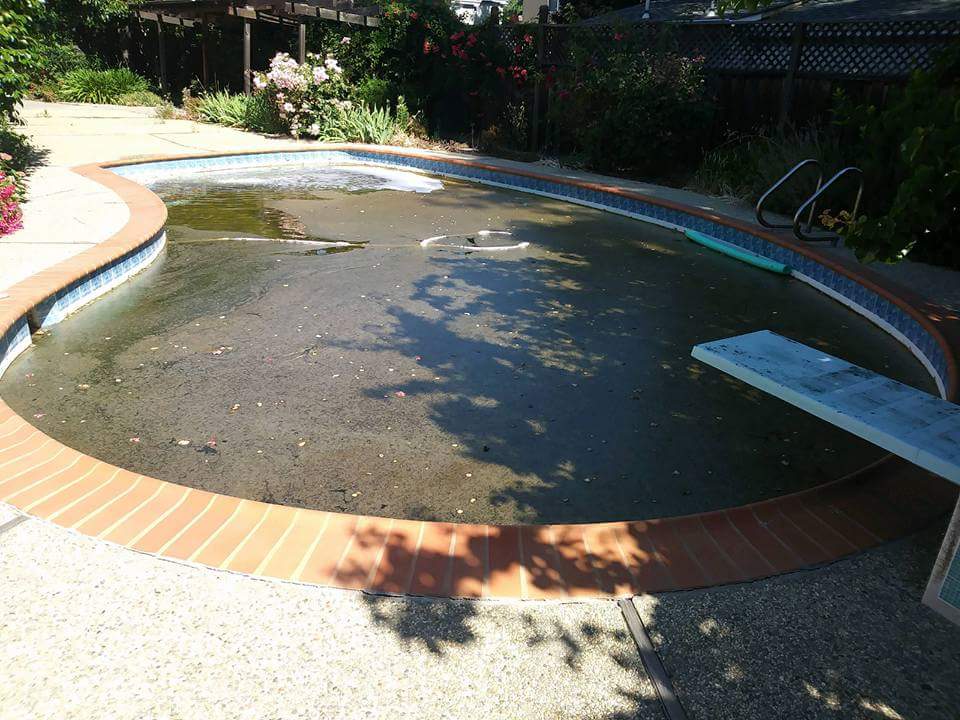 Swimming pool cleaning company