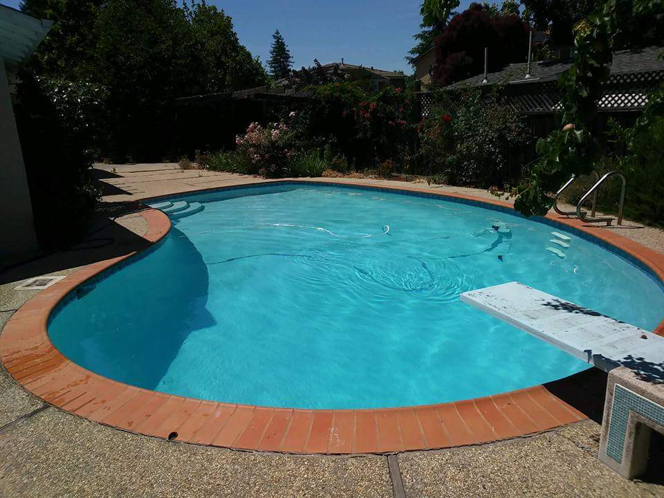 Swimming pool cleaning